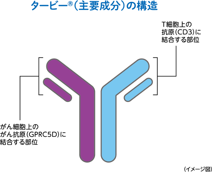 タービー®の構造