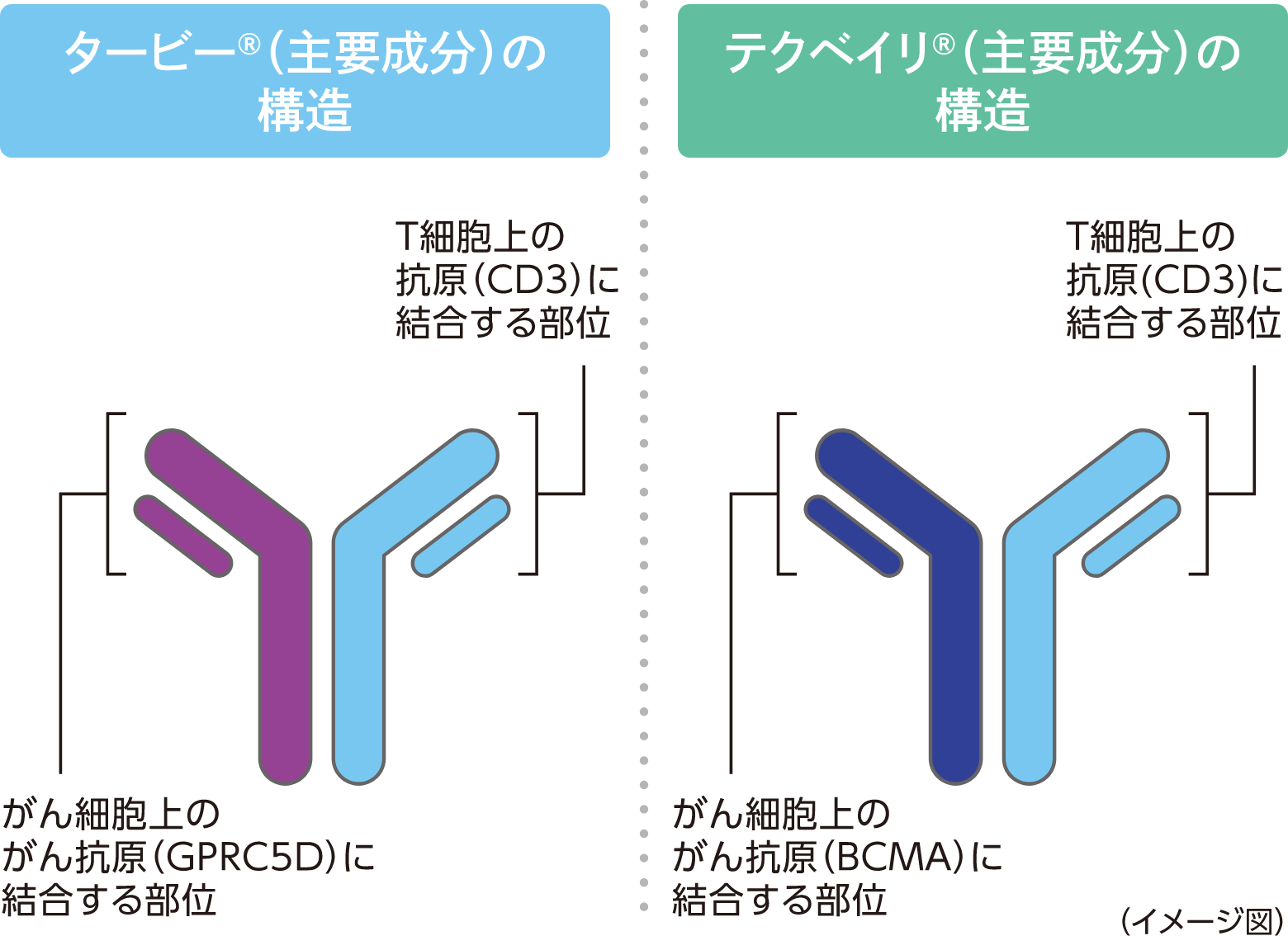 タービー®・テクベイリ®の構造