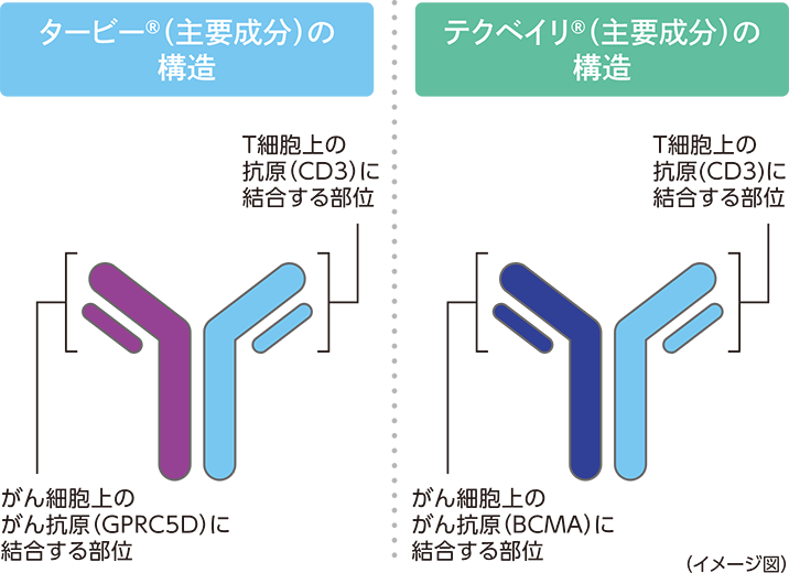 タービー®・テクベイリ®の構造