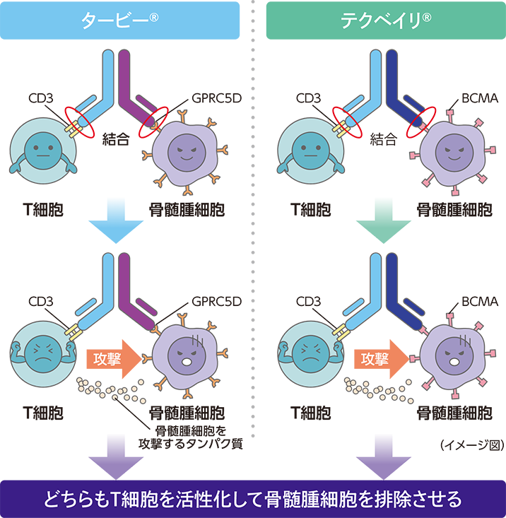 タービー®・テクベイリ®の作用