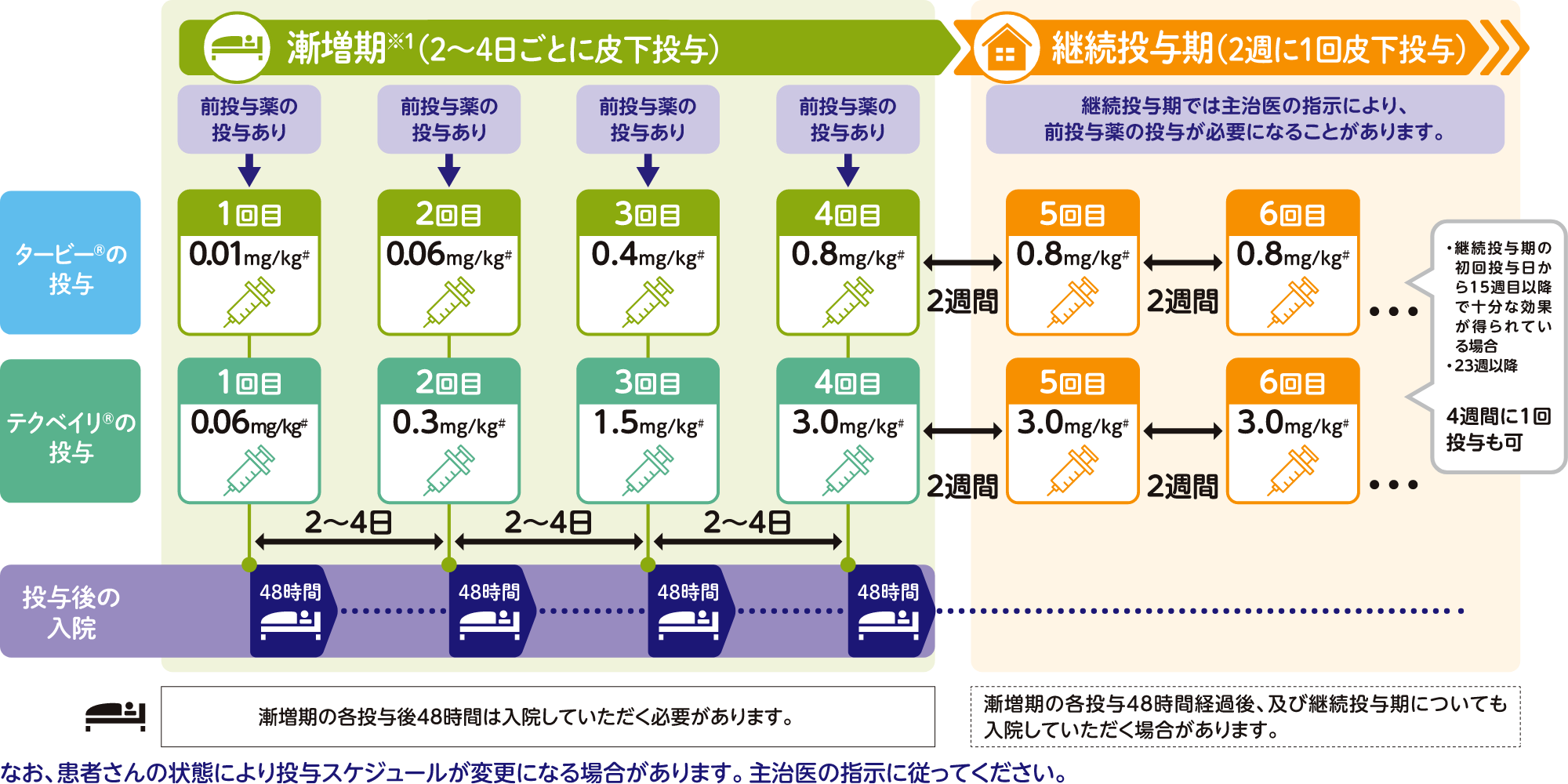 投与スケジュール：タービー®とテクベイリ®を併用する場合